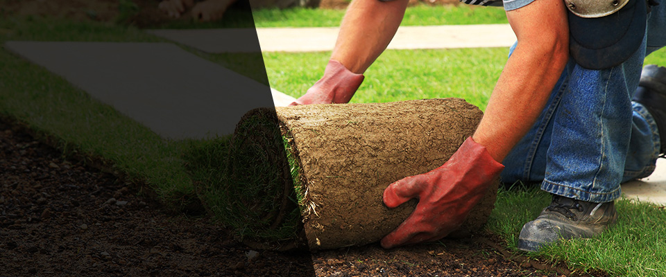 Royalton Landscapers